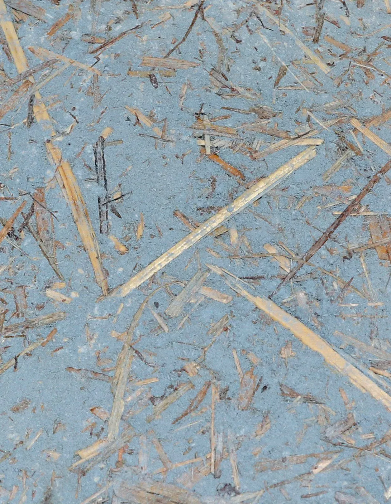 RMC_Cover - Ice_Blue Warmth