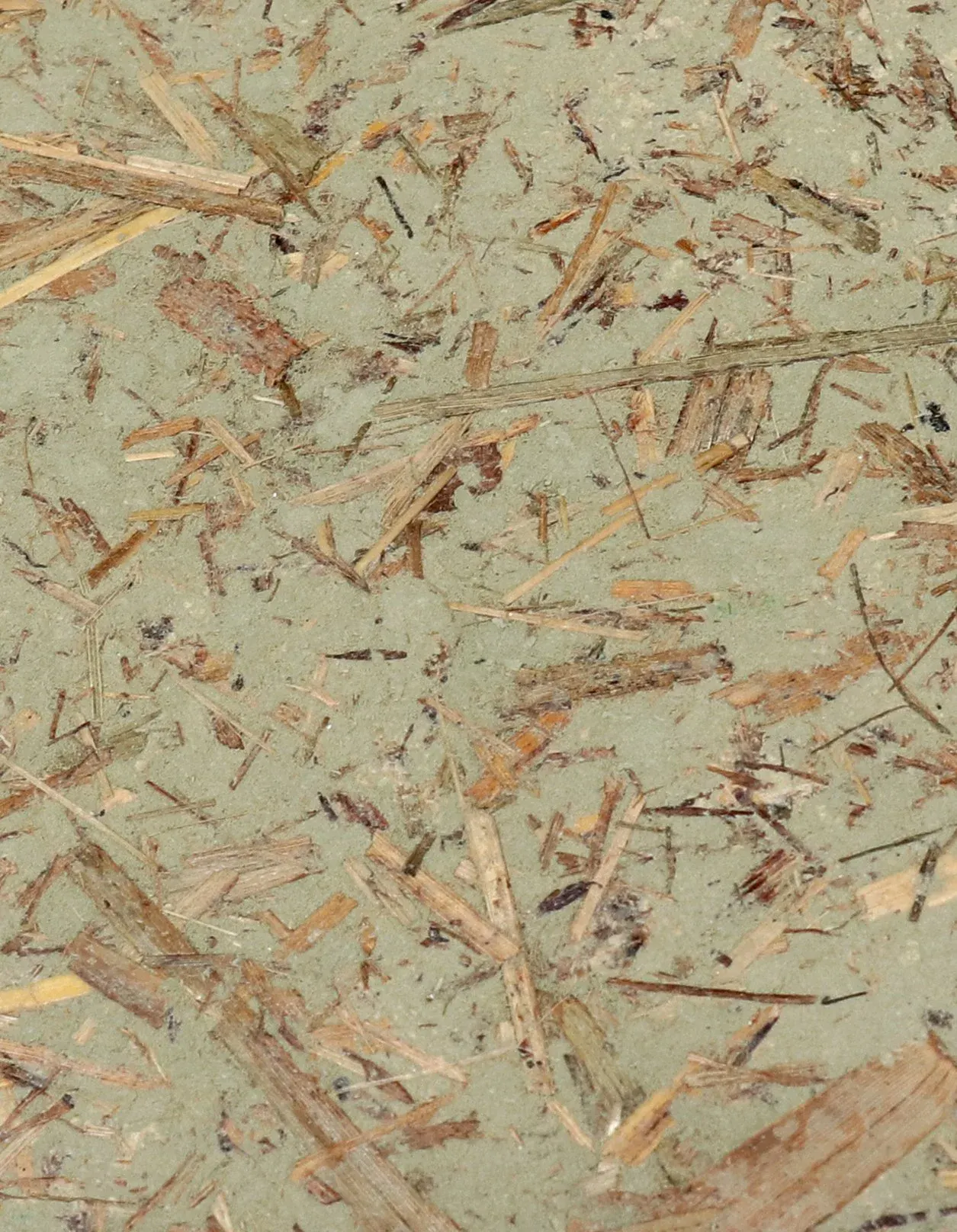 RMC_Cover — Olive_Green 30