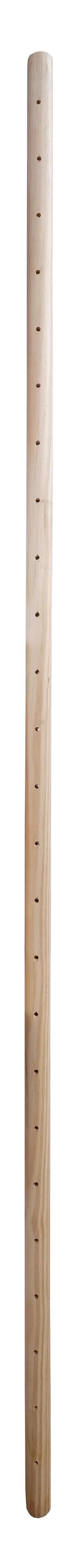 Drawing of one RMC frame pole in pine, drilled at regular intervals over its full height